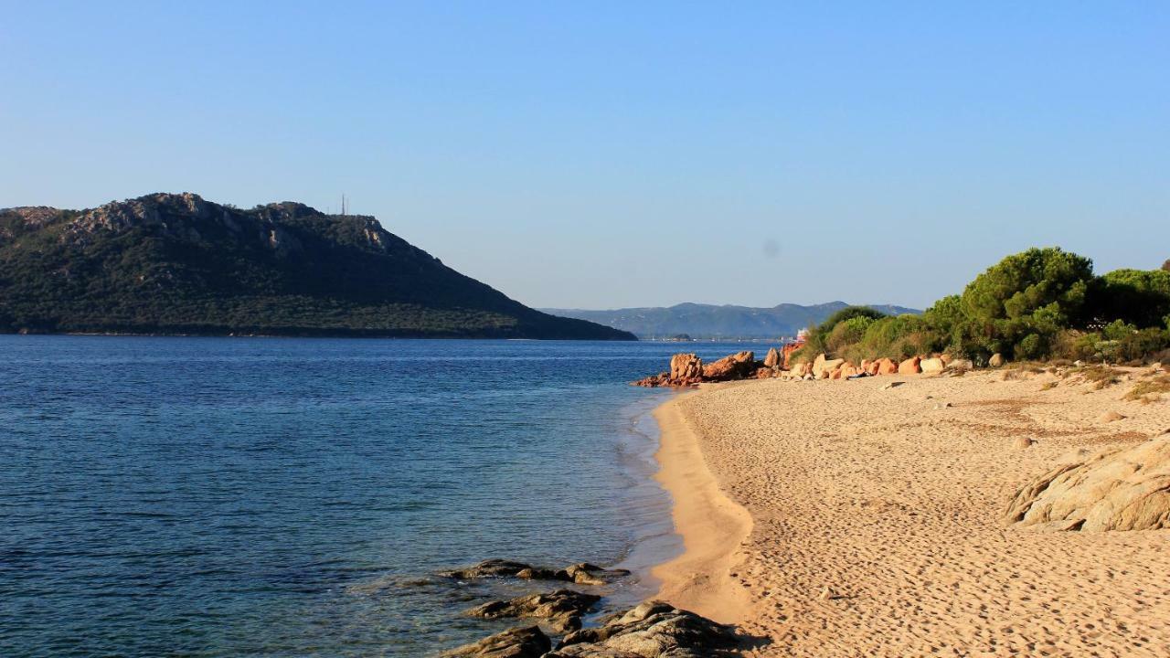 Villas Cala Corsa - 3 Et 4 Chambres - Cala Rossa Porto-Vecchio - Villas Entierement Climatisees Avec Piscine Chauffee Partagee Et Piscines Privees - Internet Gratuit Bagian luar foto